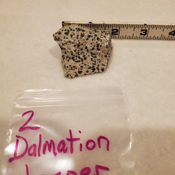 Natural Raw Dalmation Jasper Gemstone #2 Stone - Picture 6 of 6